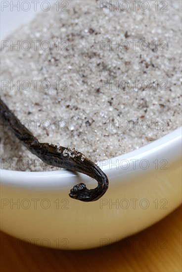 Vanilla pod, vanilla sugar (Vanilla planifolia), vanilla pod, sugar, vanilla