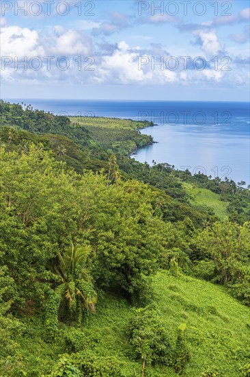 Overlook over the coastline of Taveuni, Fiji, South Pacific, Oceania