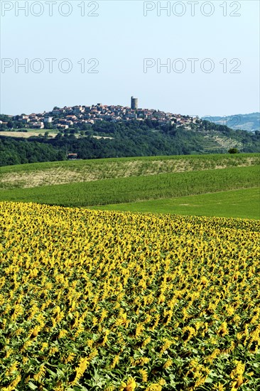Village of Montpeyroux labelled Les Plus Beaux Villages de France, Puy de Dome, Auvergne-Rhone-Alpes, France, Europe