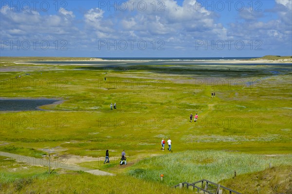 Nature reserve De Slufter, view from lookout dune, island Texel, North Sea, North Holland, Netherlands