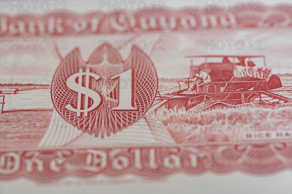 One dollar banknote, Guyana, State in South America, Guyana, South America