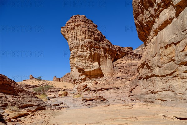 Landscape in Wadi Abu Oud, near AlUla, Medina Province, Saudi Arabia, Arabian Peninsula, Asia