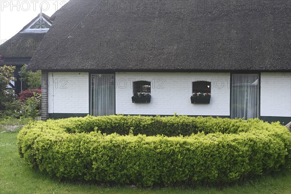 NL, Eesergroen: Spring characterises the landscape, towns and people in the province of Drenthe in the Netherlands. The picturesque village of Ees in Drenthe. NL, Eesergroen: Spring shapes the landscape, cities and people in the province of Drenthe in the Netherlands