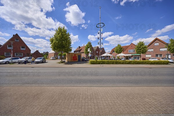 Maypole with residential and commercial buildings on Haltener Strasse in the Hausdülmen district, Dülmen, Münsterland, Coesfeld district, North Rhine-Westphalia, Germany, Europe
