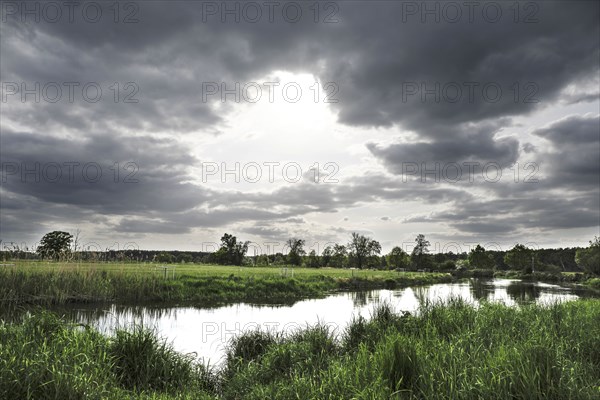 Unregulated natural course of the Spree, Mönchwinkel, 16 05 2023