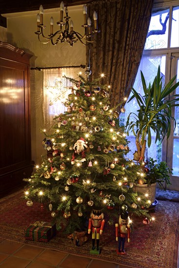 Europe, Germany, Christmas tree, Christmas tree in living room, Christmas, traditional tree decoration with baubles and lights, Hamburg, Hamburg, Federal Republic of Germany, Europe