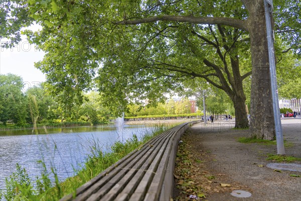 Wooden bench along a river with lush green trees, Böblingen, Germany, Europe