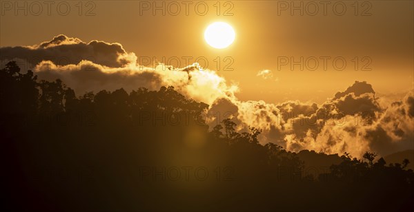 Evening mood, clouds over cloud forest, mountain rainforest, Parque Nacional Los Quetzales, Costa Rica, Central America