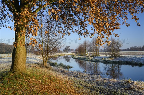 Hunte near Diepholz, river, wintry, river, Diepholz, Lower Saxony, Germany, Europe