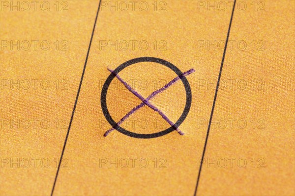Ballot paper, cross