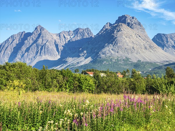 Farm houses south of Svensby at the Kjosenfjord, steep mountain peaks, Lyngen peninsula, Norway, Europe