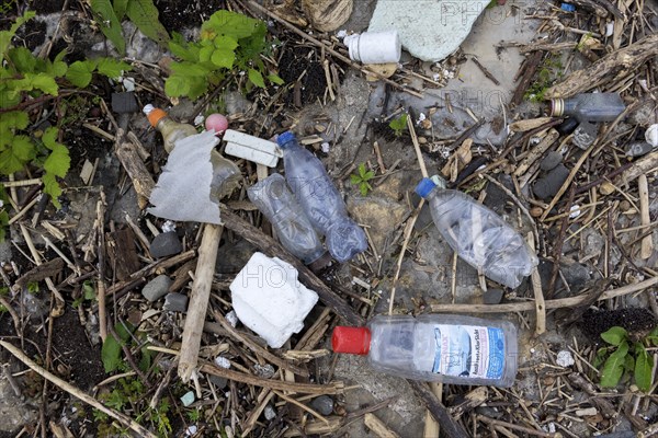 Symbolic image Environmental pollution, plastic waste, rubbish, flotsam from a flood on the Neckar river, wood, Poppenweiler, Baden-Württemberg, Germany, Europe
