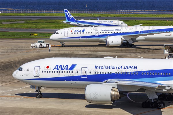 ANA All Nippon Airways aircraft at Tokyo Haneda Airport, Japan, Asia