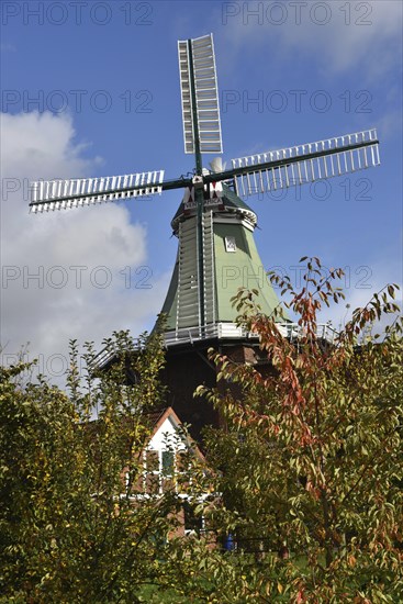 Europe, Germany, Lower Saxony, Hamburg Metropolitan Region, Altes Land, Stade District, Hollern-Twielenfleth, Venti Amica historic windmill, Europe
