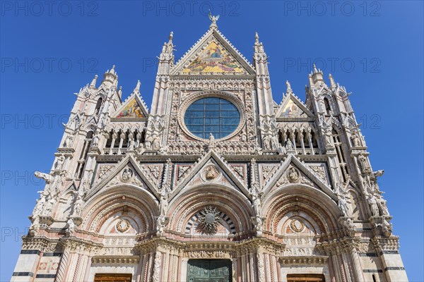 Cathedral, old town, architecture, landmark, travel, tourism, blue sky, Siena, Tuscany, Italy, Europe
