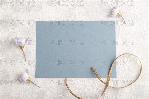 Blue paper sheet mockup with spring snowdrop crocus flowers on gray concrete background. Blank, business card, top view, flat lay, copy space, still life. spring concept