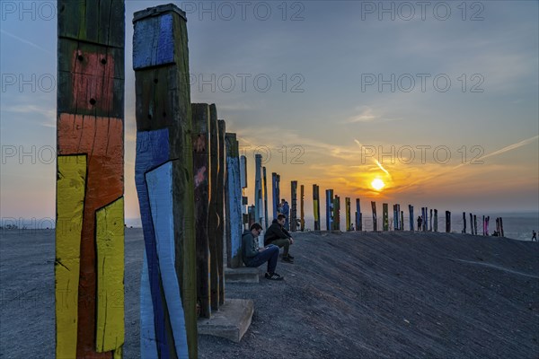 The Haniel spoil tip, 185 metre high spoil tip, at the Prosper Haniel mine, which was closed in 2019, artwork Totems by the sculptor Augustin Ibarrola, sunset, Bottrop, Germany, Europe