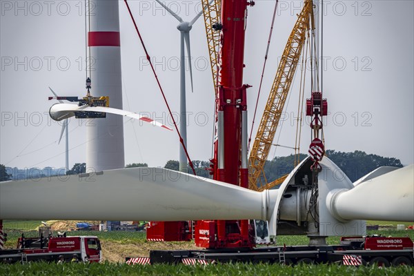 Dismantling of a wind power plant in a wind farm near Issum, 9 older wind turbines from the manufacturer Enercon (model series E-58), front, blades being dismantled, were in operation for over two decades, will be replaced by a total of four Enercon E-160 turbines, rear, assembly of the first blade, with a total output of 22 megawatts, Lower Rhine, North Rhine-Westphalia, Germany, Europe