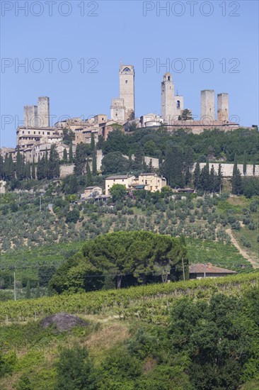 San Gimignano village, Italy, green countryside, blue sky, hill panorama with town and towers, Europe
