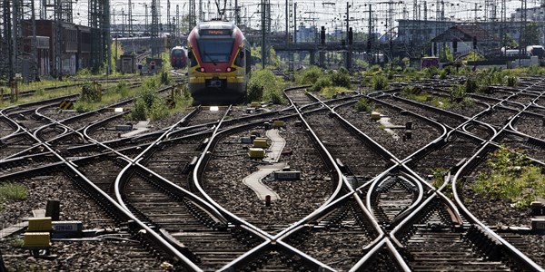 Track apron with rails, infrastructure and a local train at the main railway station, Frankfurt am Main, Hesse, Germany, Europe