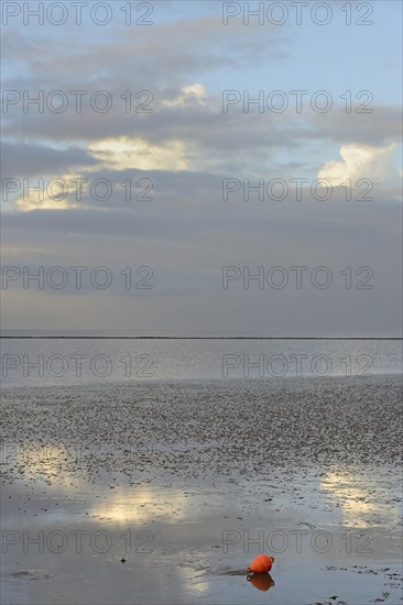 View over the Wadden Sea at low tide, red buoy lying in the mudflats, North Sea, Norddeich, Lower Saxony, Germany, Europe