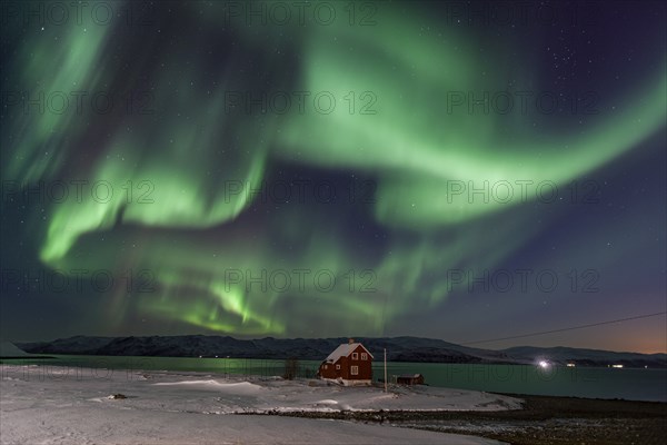 Green northern lights over a red house on the coast, aurora borealis, sea, winter, snow, Repparfjord, Finnmark, Norway, Europe