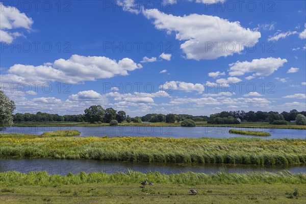 Steinhorst Basin, nature reserve, nature, Ems, tourism, landscape, Delbrücker Land, Steinhorst, Paderborn, Germany, Europe