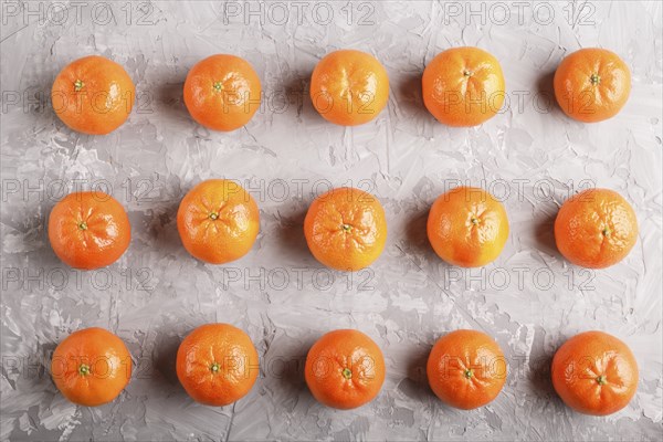 Rows of tangerines on a gray concrete background, top view, flat lay