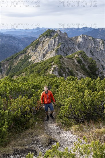 View over the mountain ridge of the Schindergebirge to the Bavarian Schinder, mountaineer on hiking trail to the Austrian Schinder, Bavarian Prealps, Mangfall mountains, Bavaria, Germany, Europe