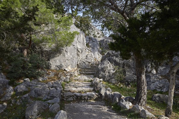 Path along a rocky terrain surrounded by trees in the forest, Kastro Monolithou, Monolithos Castle, rock castle, Monolithos village, Rhodes, Dodecanese, Greek Islands, Greece, Europe