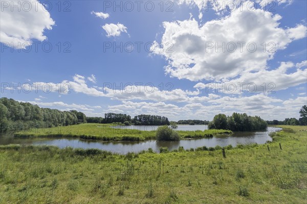 Steinhorst Basin, nature reserve, nature, Ems, tourism, landscape, Delbrücker Land, Steinhorst, Paderborn, Germany, Europe