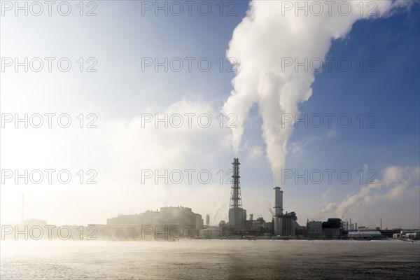 BASF plant site on the banks of the Rhine, chemical company, foggy mood, Ludwigshafen, Rhineland-Palatinate, Germany, Europe