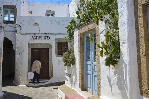 Historic buildings with wooden doors and plants in a sunny Mediterranean village, Chora, main town of Patmos, Patmos, Old Town, Dodecanese, Greek Islands, Greece, Europe