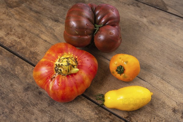 Organic tomatoes on a kitchen table. Alsace, France, Europe