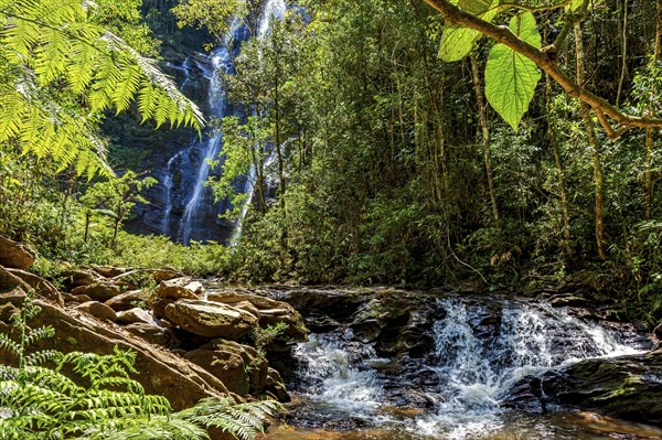 Rivers and waterfalls through dense forest vegetation in the state of Minas Gerais, Brazil, South America