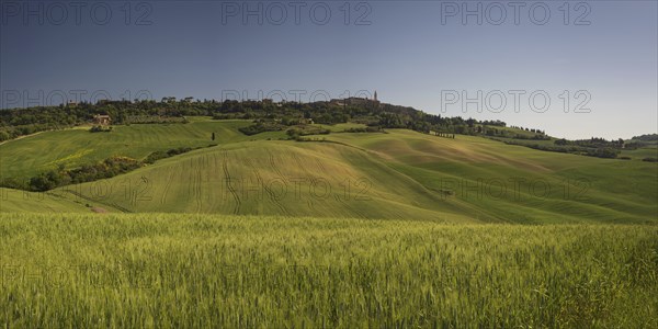 Landscape at sunrise around Pienza, Val dOrcia, Orcia Valley, UNESCO World Heritage Site, Siena Province, Tuscany, Italy, Europe