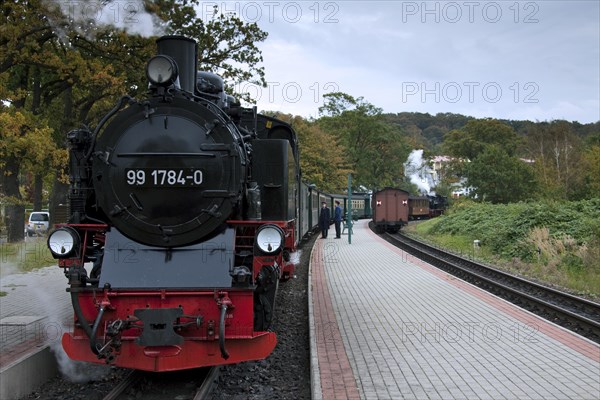 The Rasender Roland steam locomotive, Rügen Island, Mecklenburg-Western Pomerania, Germany, Europe