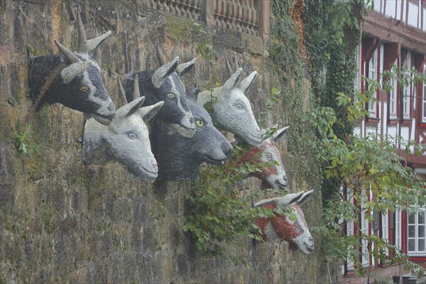 Sculptures by Pasquale Ippolito on the Brothers Grimm fairy tale The Wolf and the Seven Little Goats, goat heads, goat head, wolf figure, wolf head, series, series, stone wall, six, Grimm-Dich-Pfad, Marburg, Hesse, Germany, Europe