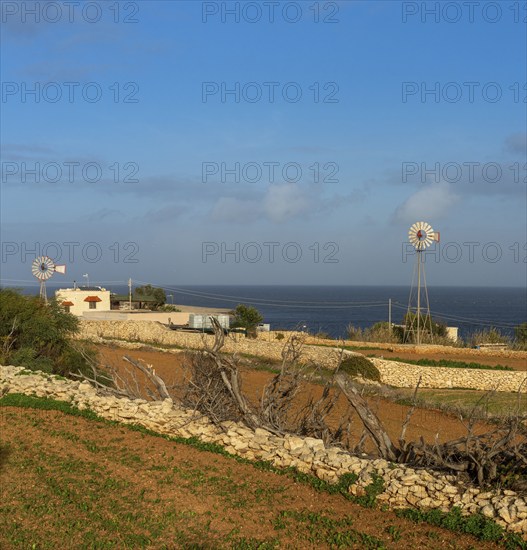 View of typical cottage and wind wheels in the countryside of Malta in warm evening light