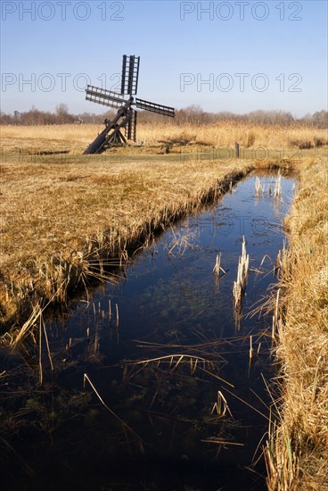 Paaltjasker windmill in a harvest reedfield in nature reserve and national park Weerribben-Wieden in the Netherlands
