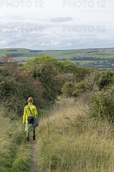 Woman, footpath near Upper Beeding, South Downs, West Sussex, England, Great Britain