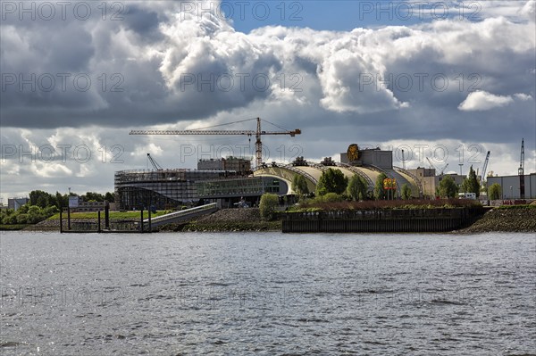 View from the Elbe to Theater im Hafen Hamburg, musical hall for The Lion King, construction cranes, Steinwerder, Hamburg, Germany, Europe