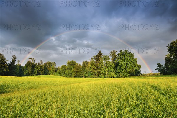Evening thunderstorm atmosphere with double rainbow over lush green mixed forest, in the Zurich Oberland, Zurich, Switzerland, Europe