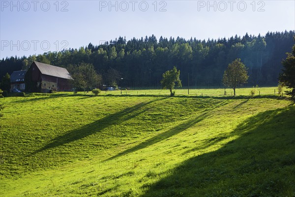 Scharfenstein