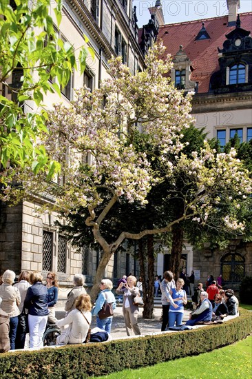 Residential Palace in spring. Large parts of the Residenzschloss in Dresden have already been restored and are a popular tourist destination