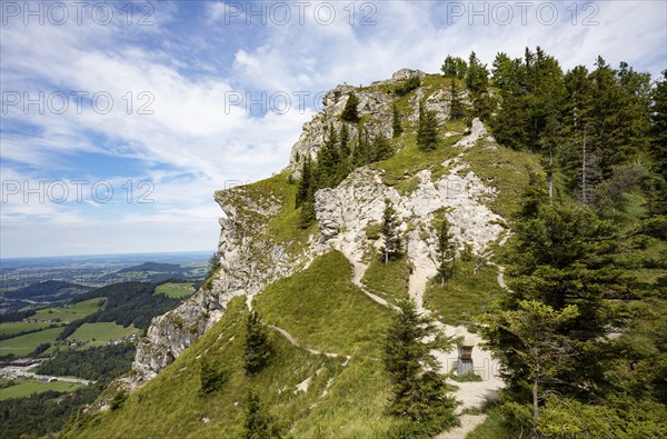 Hiking trail to the summit of the Nockstein, Osterhorn Group, Flachgau, Land Salzburg, Austria, Europe