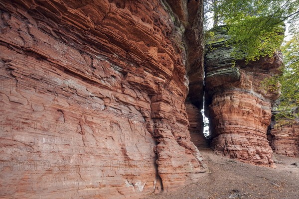 Old castle rock, red sandstone rock formation, natural and cultural monument, Brechenberg near Eppenbrunn, Palatinate Forest, Rhineland-Palatinate, Germany, Europe