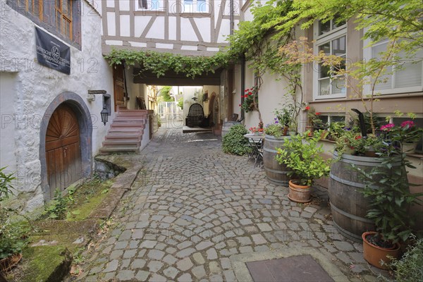 Idyllic courtyard in the Metzgergasse in Neustadt an der Weinstraße, Rhineland-Palatinate, Germany, Europe