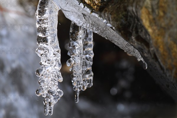 Close-up of icicles on a mountain stream, Saxon Switzerland, Elbe Sandstone Mountains, Saxony, Germany, Europe