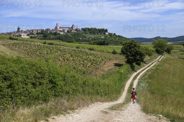 Hikers on the way to Vézelay, Yonne department, Bourgogne-Franche-Comté region, Burgundy, France, Europe
